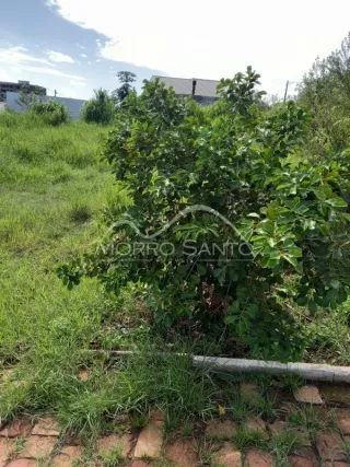 Terreno, foto 2