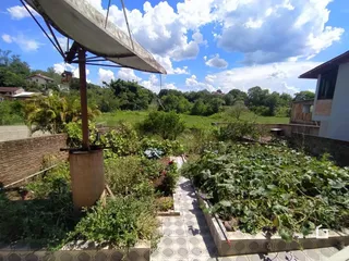 Vista de um jardim com vegetação exuberante e muro de alvenaria.