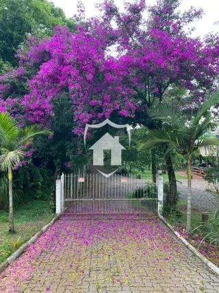 Área rural com 3 dormitórios, foto 18