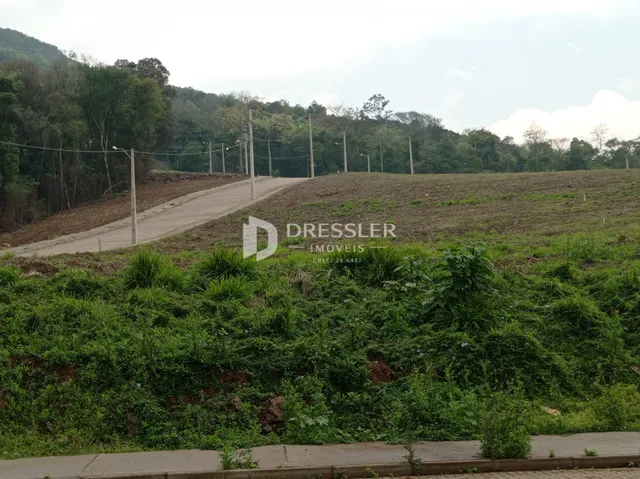 Terreno, foto 4