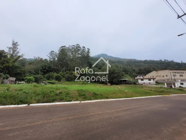 Terreno, foto 3