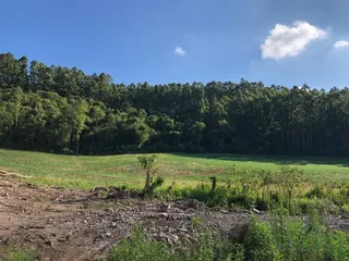Terreno, foto 1