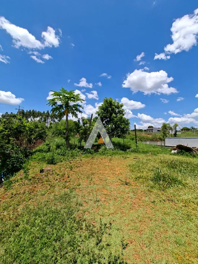 Casa com 2 dormitórios, foto 5