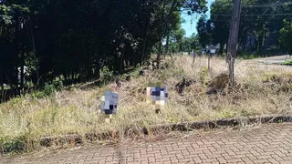 Terreno, foto 1