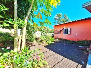 Vista externa de um jardim com vegetação exuberante ao lado de uma casa vermelha.