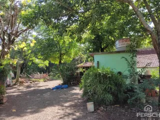 Foto da área externa com vegetação densa e árvores.