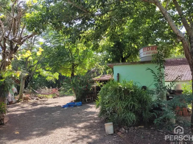 Foto da área externa com vegetação densa e árvores.