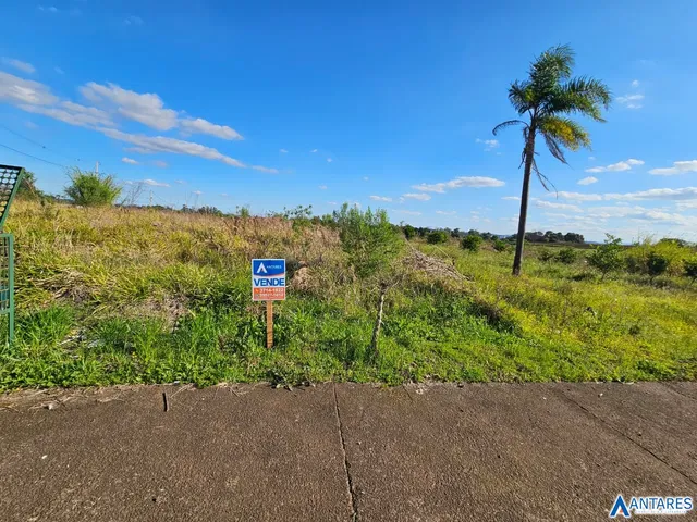 Terreno, foto 3