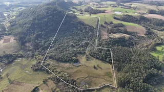Vista aérea de um terreno com vegetação densa e áreas de campo.