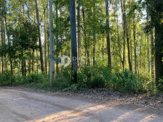 Área rural, foto 11