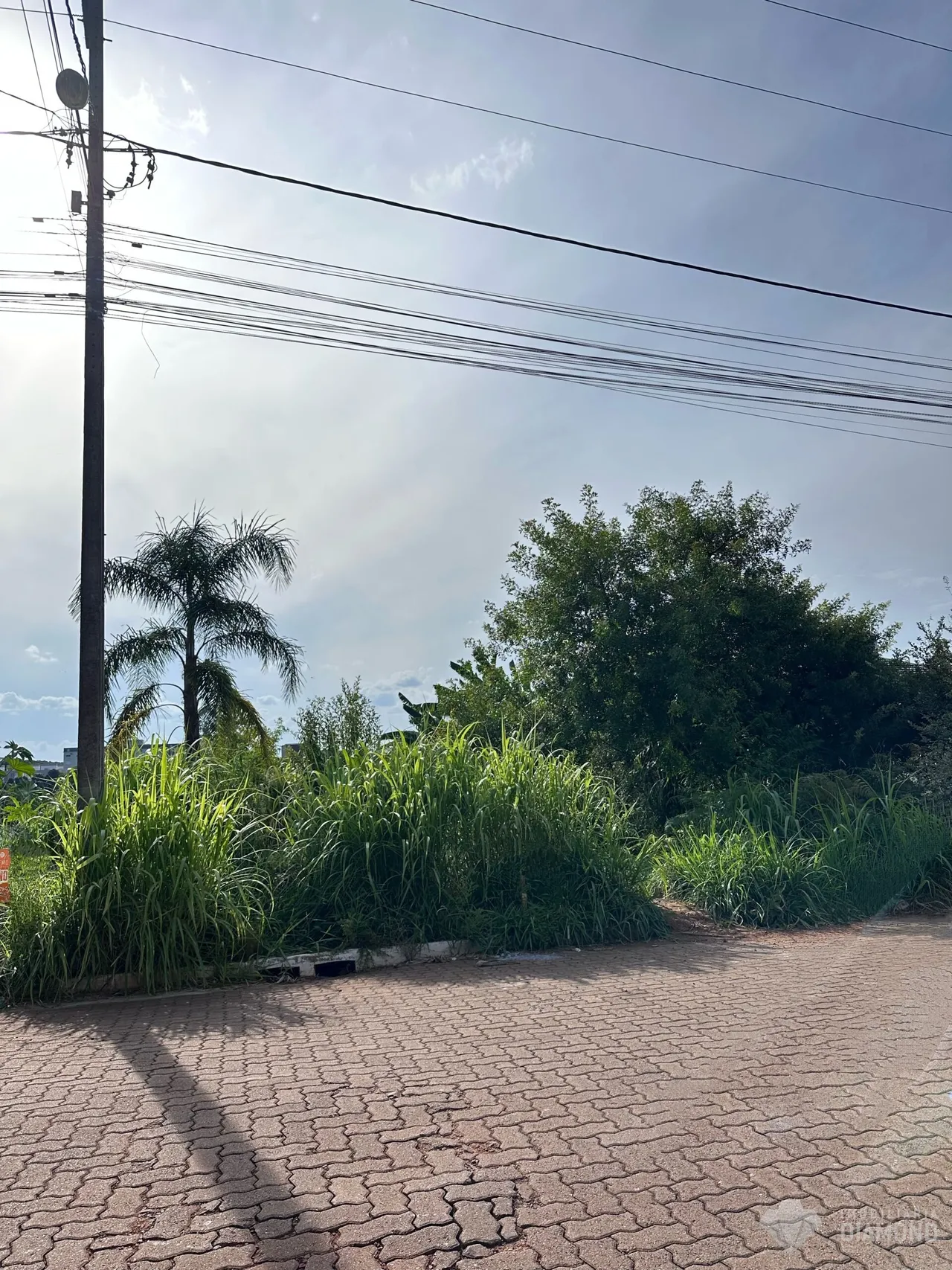 Terreno, foto 1