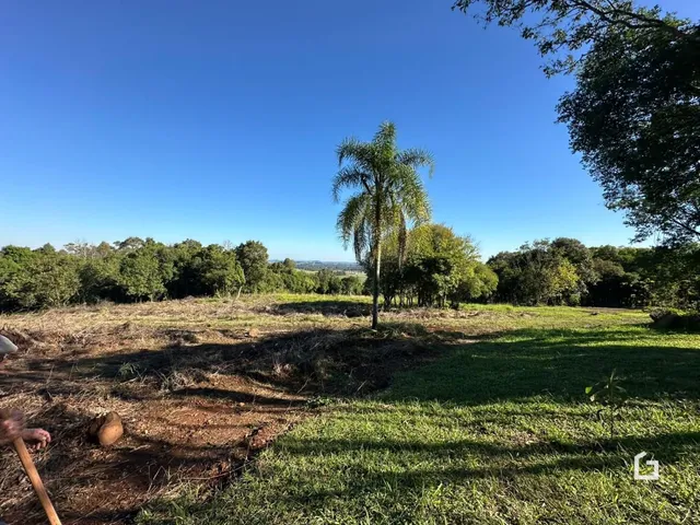 Paisagem de campo com grama e árvores sob um céu azul.
