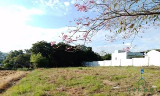 Terreno, foto 1