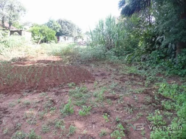 Terreno, foto 2