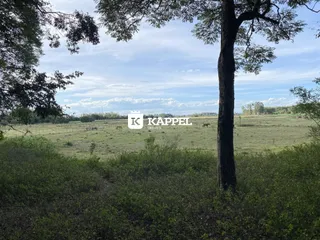 Área rural com 3 dormitórios, foto 44