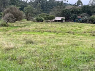 Terreno, foto 4