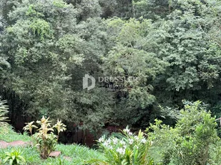 Área rural com 2 dormitórios, foto 23