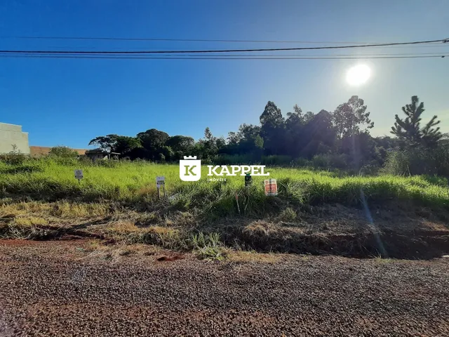 Vista externa da propriedade mostrando campo aberto e vegetação sob luz solar intensa.