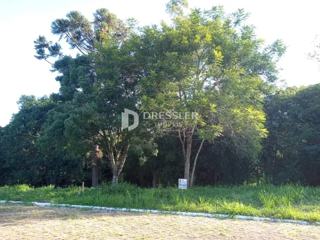 Vista externa de uma propriedade com vegetação densa e gramado.