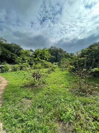 Área rural com 3 dormitórios, foto 15