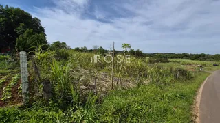 Paisagem de campo com vegetação densa ao lado de uma estrada.