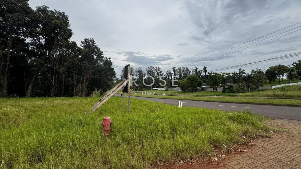 Terreno, foto 1