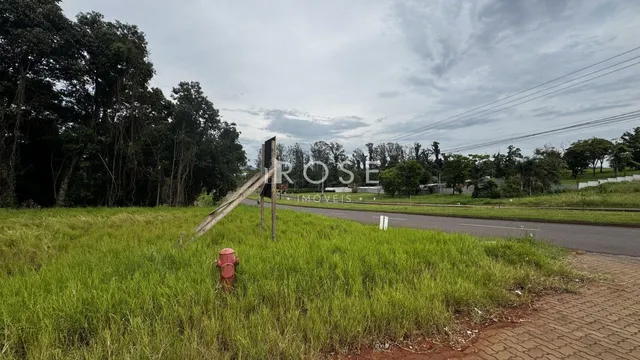 Terreno