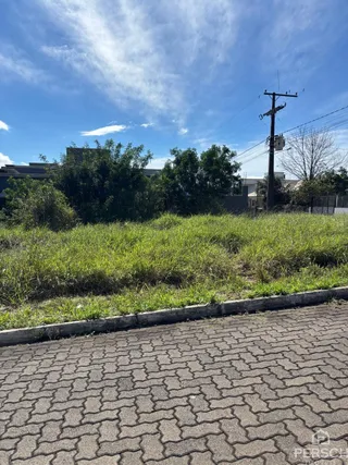 Terreno, foto 3