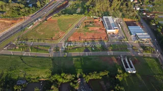 Terreno, foto 11