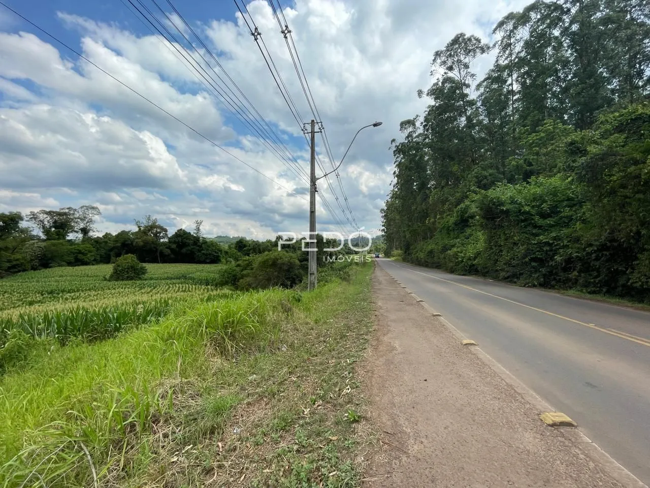 Área rural, foto 1
