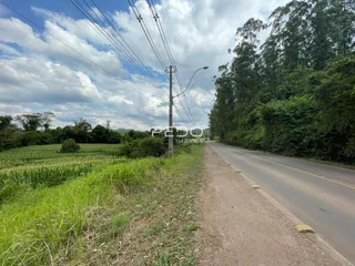 Vista de uma estrada rural com campo e vegetação ao lado em Lajeado.