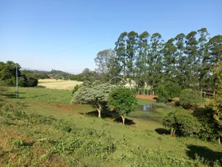Vista de uma área de campo com vegetação e árvores ao fundo.