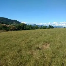 Vista de um campo verde sob um céu azul.
