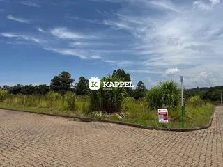 Vista externa de uma área com vegetação alta e uma estrada pavimentada em Lajeado.