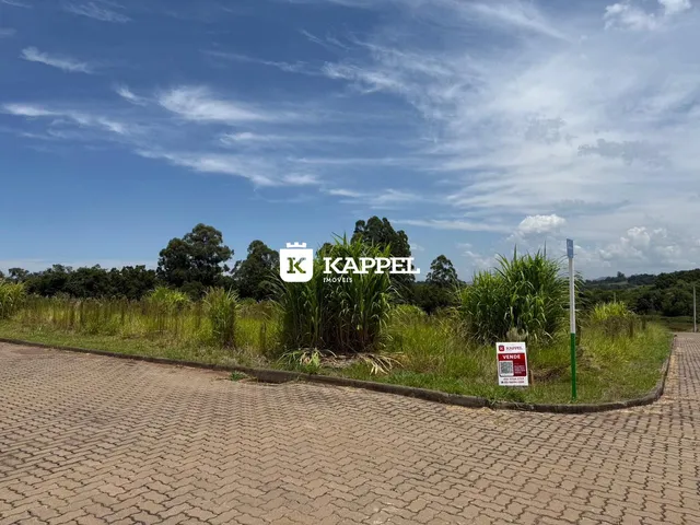 Vista externa de uma área com vegetação alta e uma estrada pavimentada em Lajeado.
