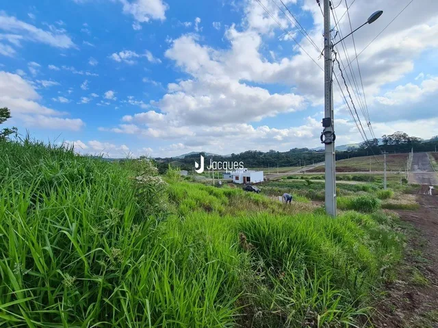 Paisagem de campo verde com céu azul.