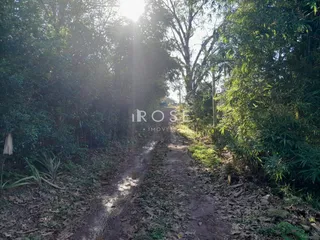 Área rural com 3 dormitórios, foto 10