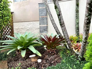 Casa com 3 dormitórios, foto 21