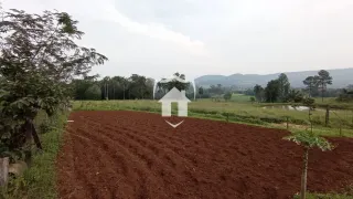 Área rural, foto 4