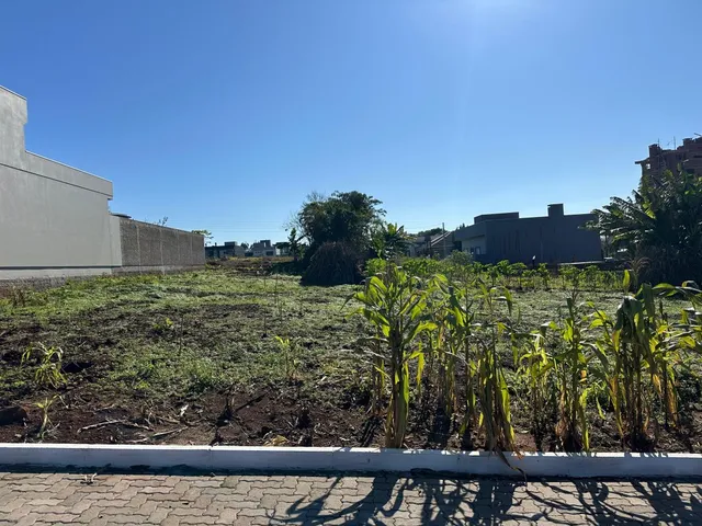 Foto da área externa de um terreno com vegetação seca sob um céu azul.