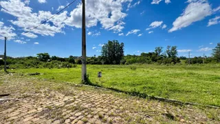 Terreno, foto 3