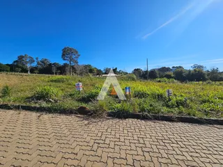 Terreno, foto 1