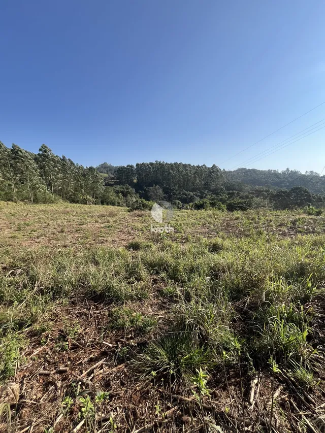 Área rural, foto 3