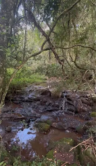 Área rural, foto 3