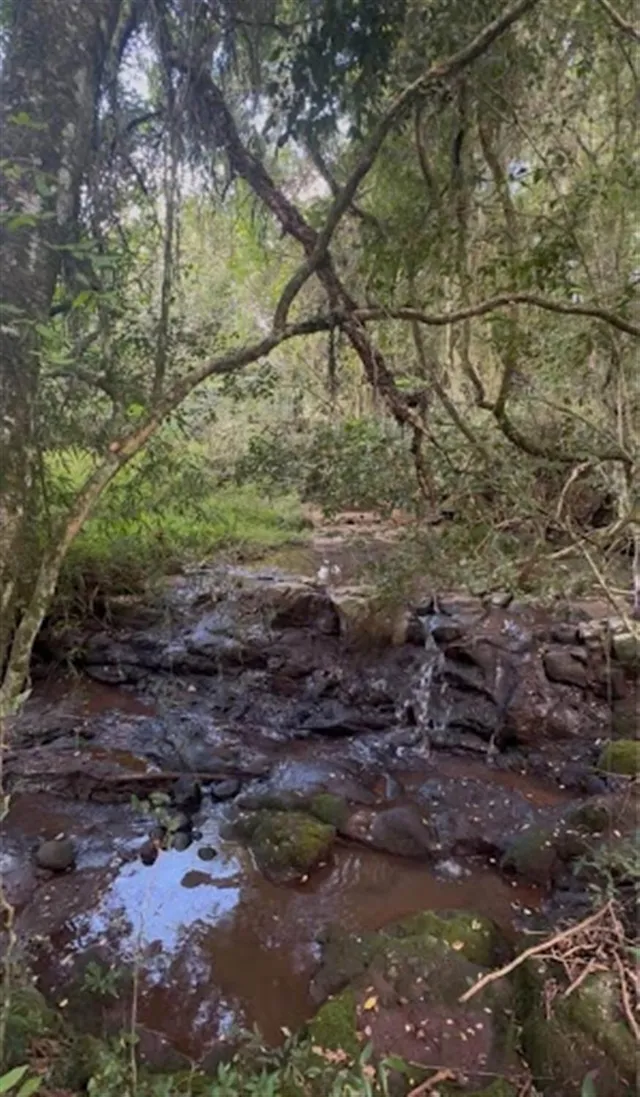 Área rural, foto 3