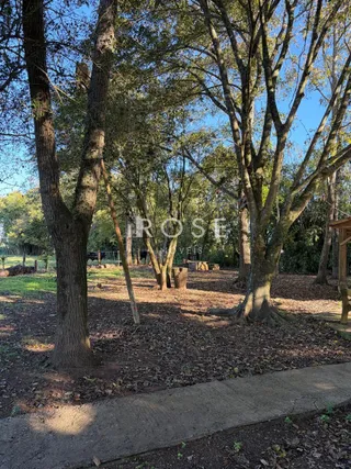 Área rural, foto 4