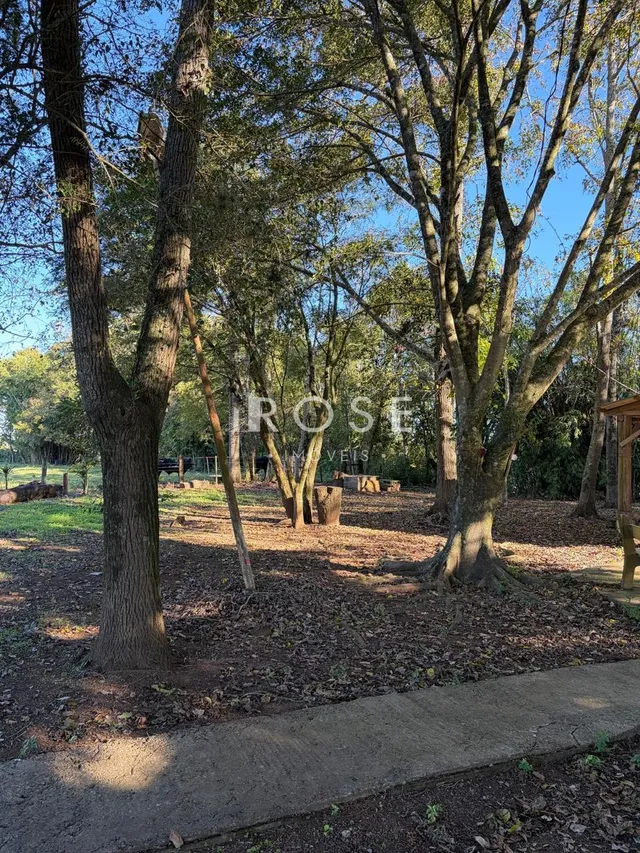 Área rural, foto 4