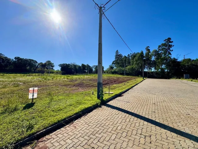 Terreno, foto 2