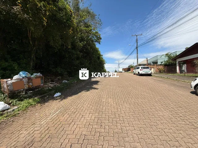 Terreno, foto 3