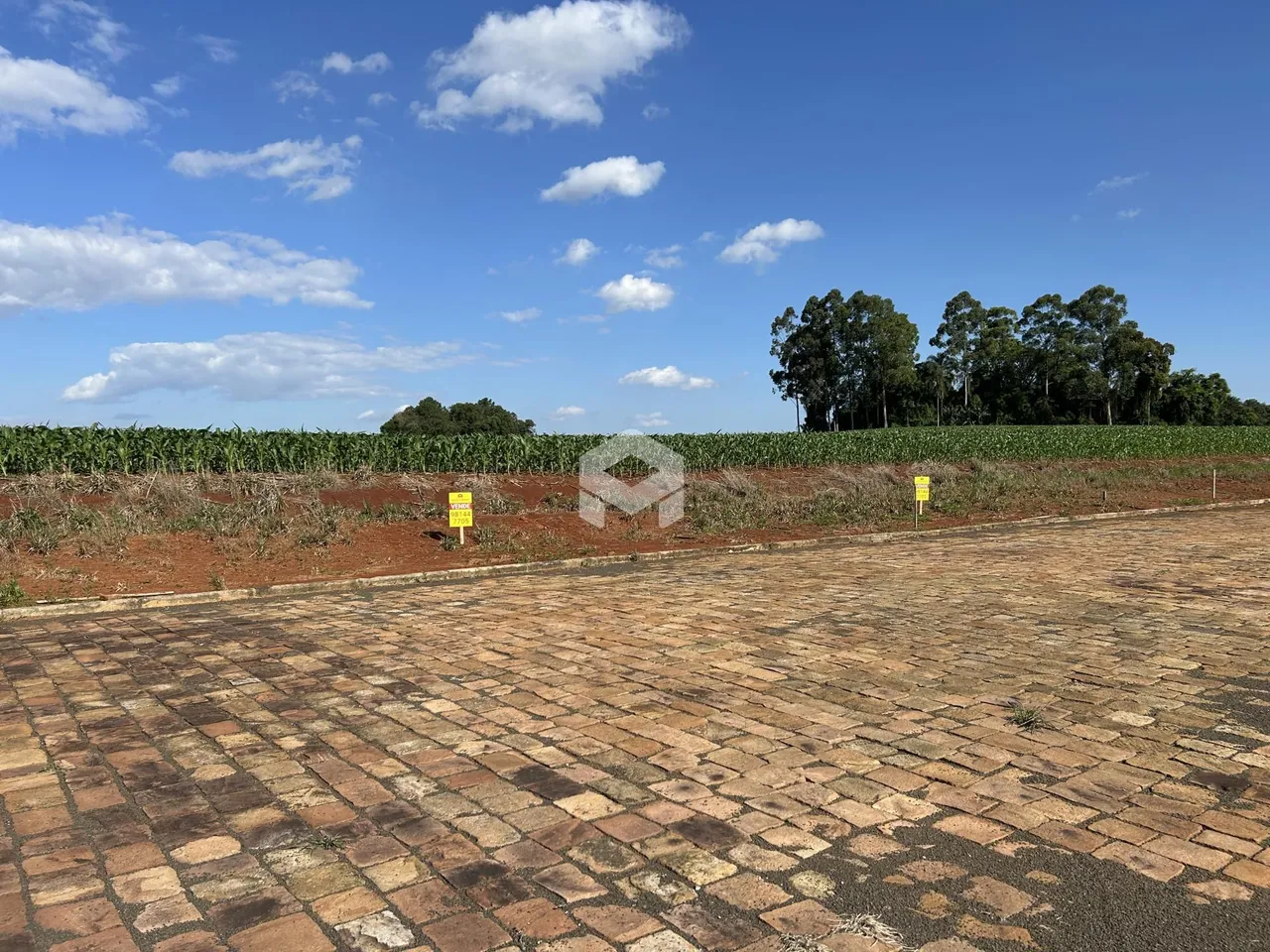 Vista da área pavimentada de uma propriedade com vegetação ao fundo.